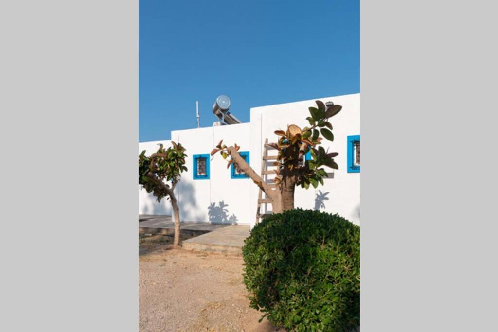 Georgia'S Studio Káto Zákros Exteriér fotografie